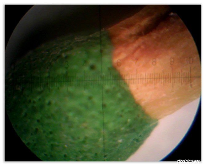 Веб камера смотрит в микроскоп.jpg