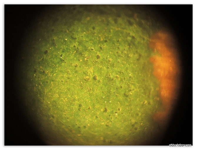 ЦФК смотрит в микроскоп.jpg
