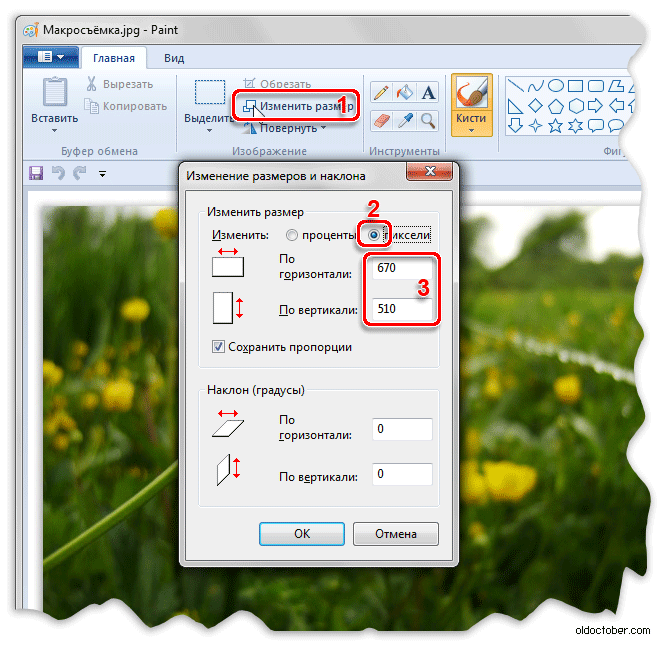 Изменение размера изображения в программе Paint.gif